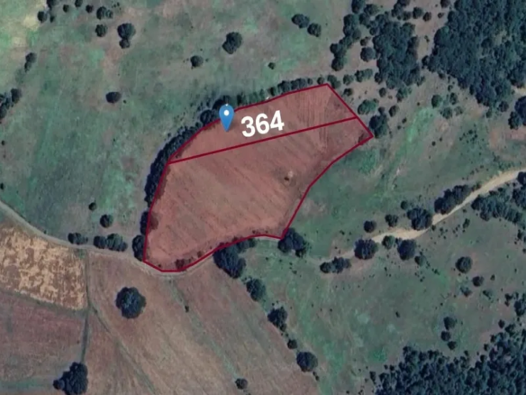 Agricultural Land for Sale in Iznik City - Bursa Province | L364