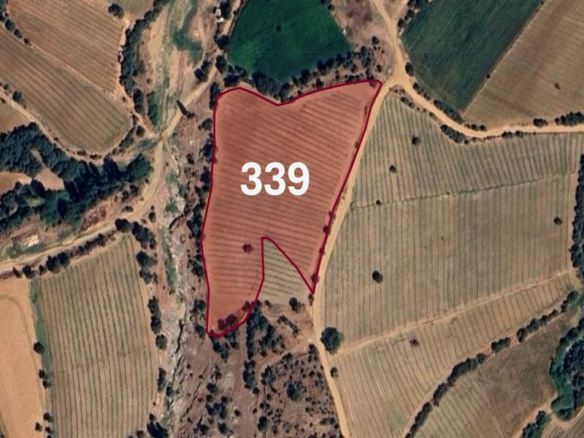 Agricultural Land for Sale in Manisa, Turkey, specifically in Kula | L339
