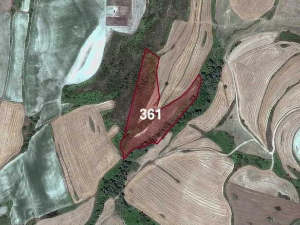 Agricultural land for sale in Çatalca, Kızılcaali Village | L361