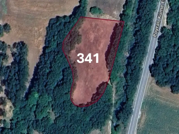 Agricultural land for sale within a fertile farm area in Kırklareli, Turkey, specifically in Pınarhisar | L341